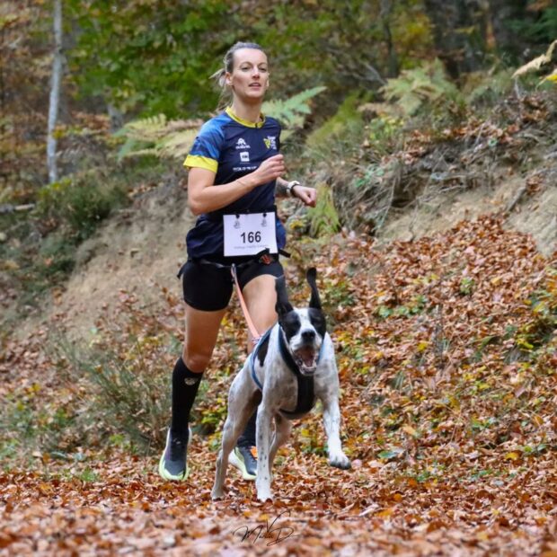 Résultats du week-end du 26 octobre 2025